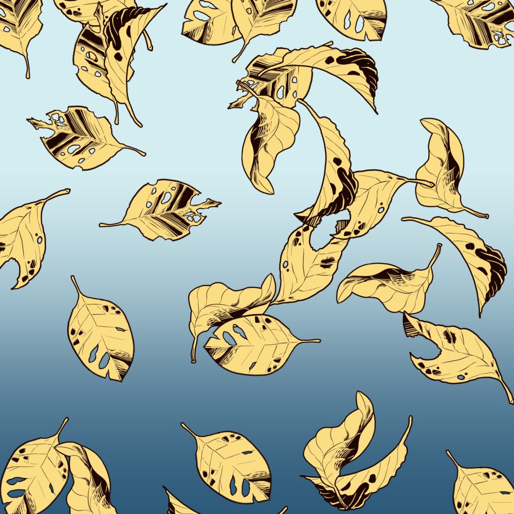 落ち葉、人生、釈迦、仏教の教え、ミホトケを作る、Shiroi.N